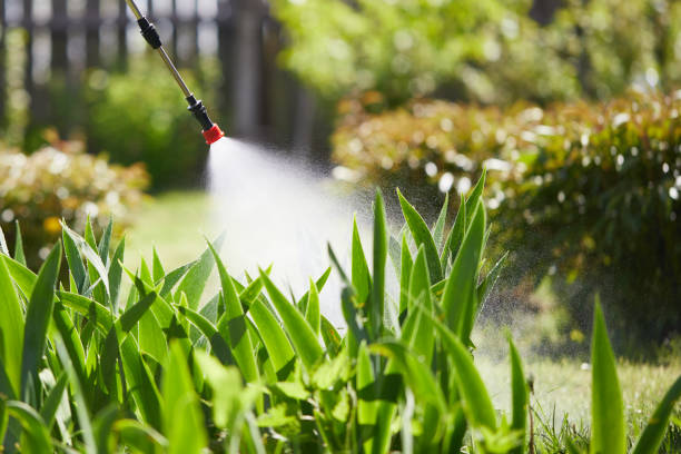 Tamper-Resistant Bait Stations for Rodents in Milaca