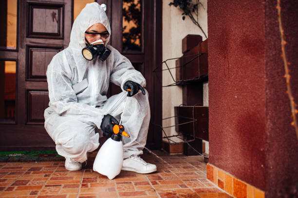 Attic and Crawl Space Rodent Treatment in Milaca