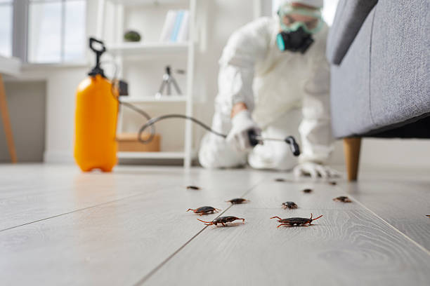 Commercial Rodent Management in Milaca